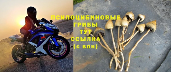 крисы Куйбышев
