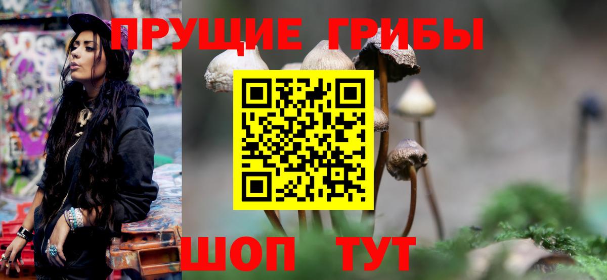 Полевской  Псилоцибиновые грибы прущие грибы  Галлюциногенные грибы GOLDEN TEACHER  где найти наркотики  Вход с VPN 