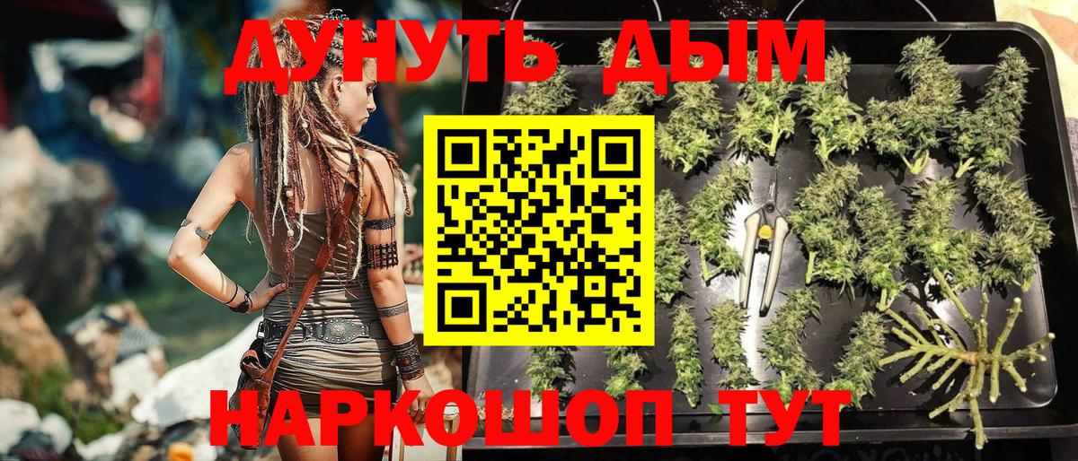 Бошки Шишки конопля Полевской